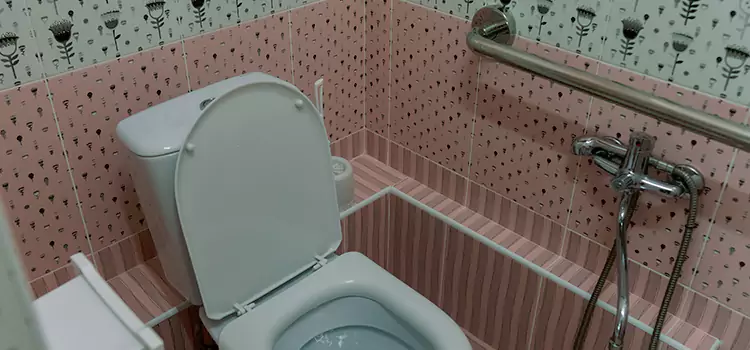 Meeting Diverse Needs With Accessible Restroom Solutions in North Las Vegas, NV